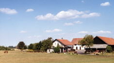 Der Hof in Süßenthal